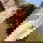 Pertiwi Tiwi profile icon