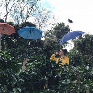 น้องฝ้าย น้องฝ้าย สุดรัก profile icon