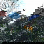 น้องฝ้าย น้องฝ้าย สุดรัก profile icon