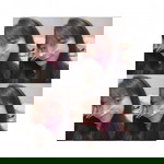 Waraphon Meetham profile icon