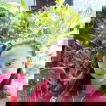 แนน สุมลฑา ทองพันธ์ profile icon