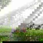 Habbak Leek profile icon