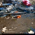 Maria Yagab Odaiuqad profile icon