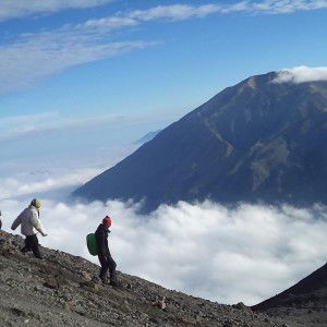 Ain Saidah Fi Qobri profile icon