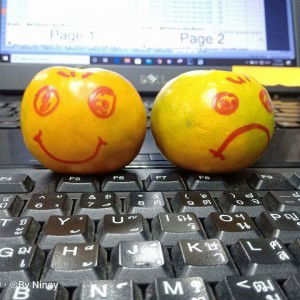 Nipaporn Sonsamdaeng profile icon