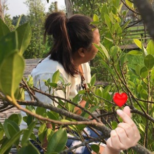 ครอบครัว ตัวกลม profile icon