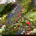 ครอบครัว ตัวกลม profile icon