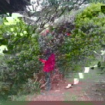 Riiaa Safitrii profile icon