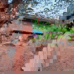 แพร' พี้ profile icon