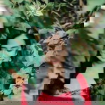 Sharalyn Dizon Seva profile icon