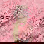 Ziyah Fajriah profile icon