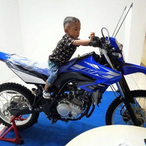 Lhyna Arfandy profile icon