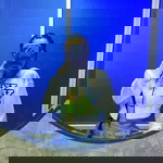 วรรณรท ตะโกเนียม profile icon