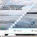 Atikah Arif profile icon