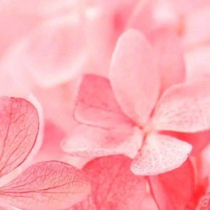 Najwa Khaira Wilda profile icon