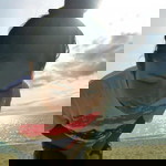 สารภี นครชัย profile icon