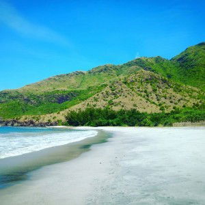 Mica Micay profile icon