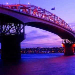 Dashini Mani profile icon