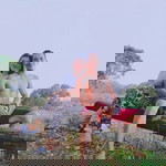 Angel Almerez profile icon