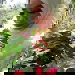 siti murni bte nor ali profile icon