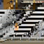 rofer de robles profile icon