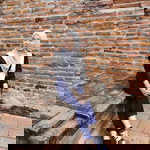 Siriwan Tupsen profile icon