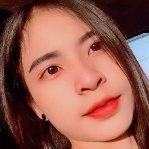 Pitchaya Ok profile icon