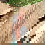 Phanipha Phuekphan profile icon