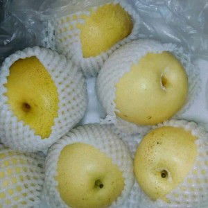 Fantasya Nya profile icon