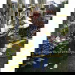 Pry Parinya profile icon