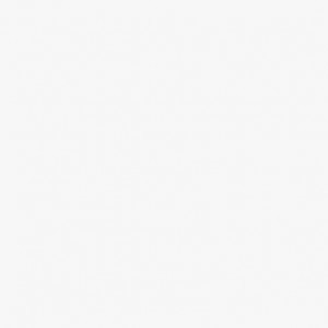 asa hon profile icon