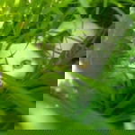 Parpaporn Kamnart profile icon