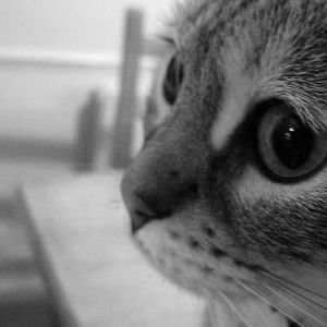 แตกต่าง' เหมือนกัน'นน profile icon