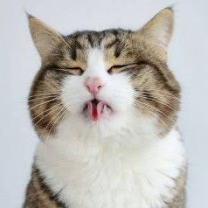 ARUNEE TUAMSA-NGIAM profile icon