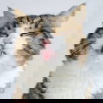 ARUNEE TUAMSA-NGIAM profile icon