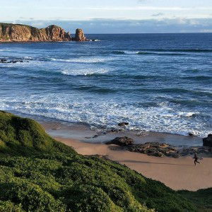 ความสุขยุที่ไหน บอกฉันที profile icon