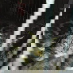 Megawati Siti Mutiah profile icon