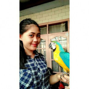 Rini Anggraini profile icon