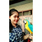 Rini Anggraini profile icon