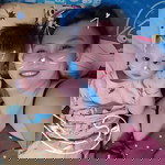 Nguyễn Thị Trúc Vân profile icon