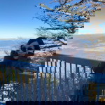 Ji Jira Ji profile icon