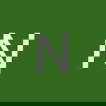 Nichanan Thaingtrongdee profile icon