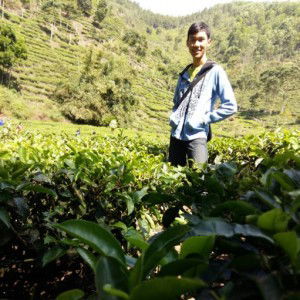 Puput Ariansah profile icon