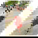 Puy Faii'i profile icon