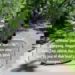 Lilis Salam profile icon