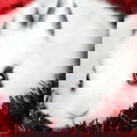 Ikal_321 Channel profile icon