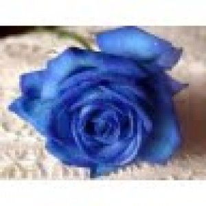 Khuzaimah Jalaluddin profile icon