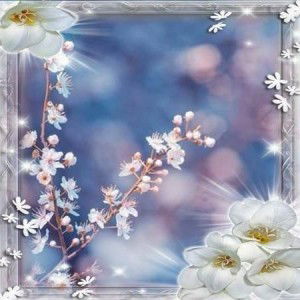 Nenk Kaynaya profile icon