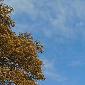 sri khaerunisa profile icon