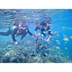 Ulva Afrima Tanjung profile icon